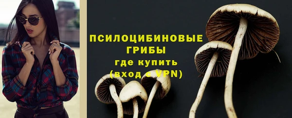 тгк Алзамай