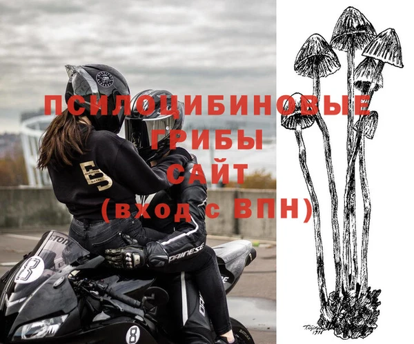 тгк Алзамай