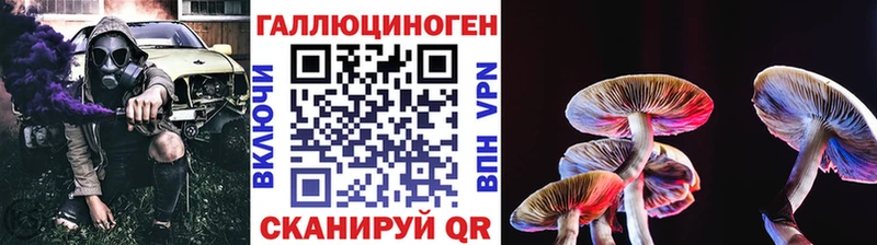 Галлюциногенные грибы Cubensis  Пикалёво 